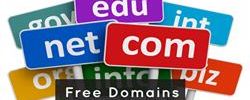 free .in domain free .co.in domain