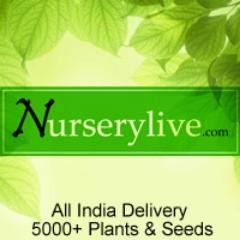 NurseryLive - Get Free Garden Kits in Lucky Draw this Father's Day