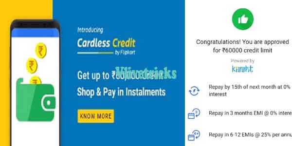 Flipkart Buy Now & Pay Later with Cardless Credits