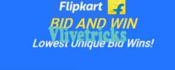 flipkart bid and win