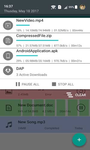 Download accelerator Plus (DAP)