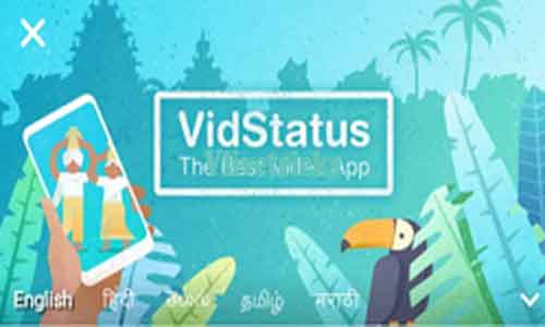 vidstatus-app download