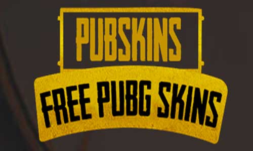 pubskins com