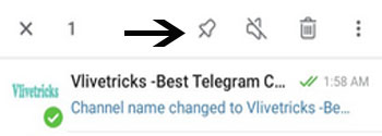 pin-telegram-channel